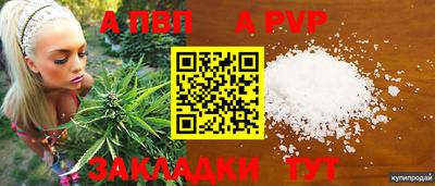 spice Будённовск