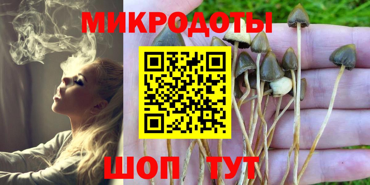 Реутов  Галлюциногенные грибы Psilocybe  Вход с VPN 